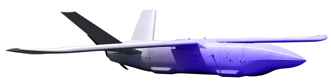 vandal-treated-purple