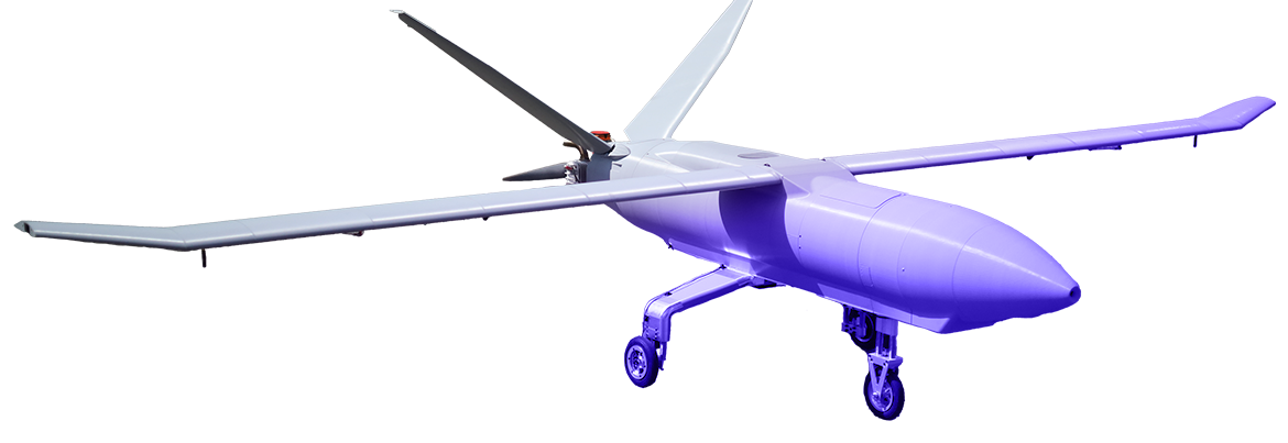 raker-treated-purple